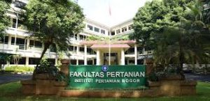 kampus terbaik di indonesia