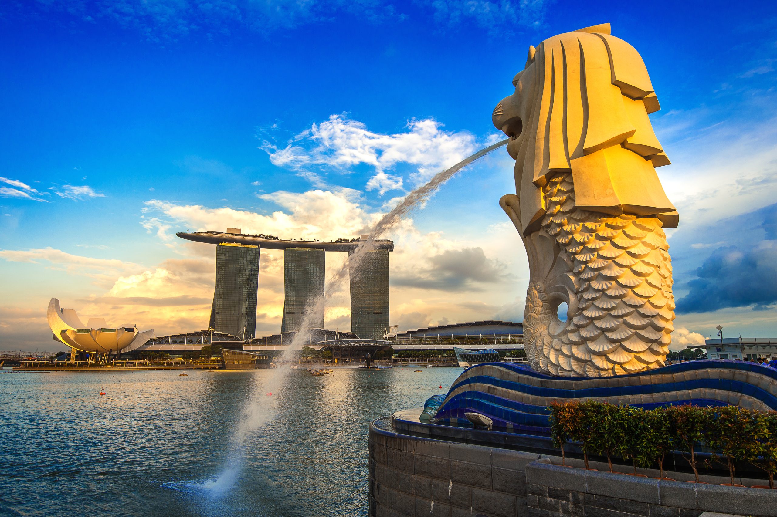 oleh-oleh khas Singapura