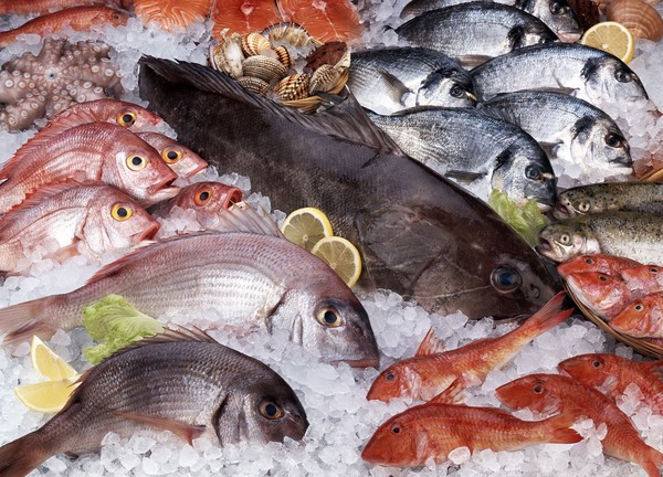 ikan yang tidak boleh dimakan penderita diabetes